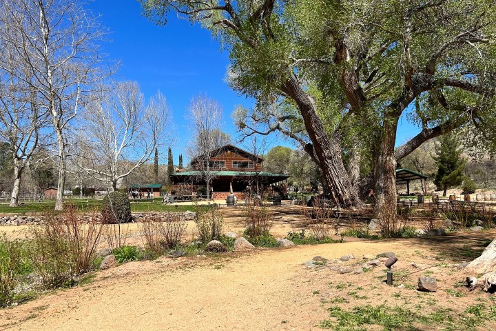 Rustic cabin surrounded by trees and greenery under a clear blue sky.