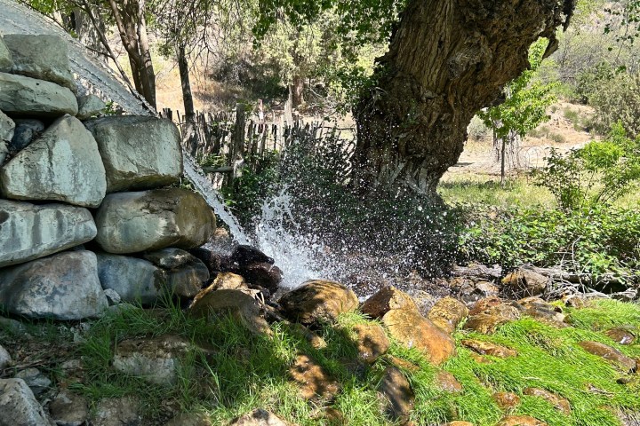 Water splashes from rocks under tree with green leaves in sunlight.