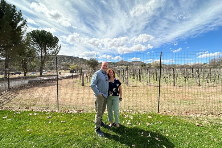 Couple standing on grass near vineyard with cloudy blue sky in background.