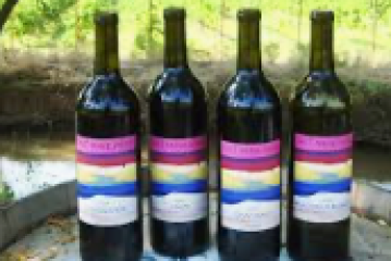 Four wine bottles on a wooden surface with vineyard in background.