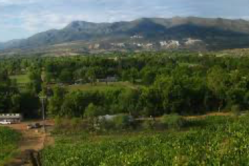 Rural landscape with green fields, scattered trees, and distant mountains under a blue sky.