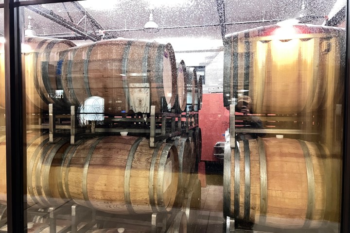 Wooden barrels stacked behind a glass window in a brewery or distillery.