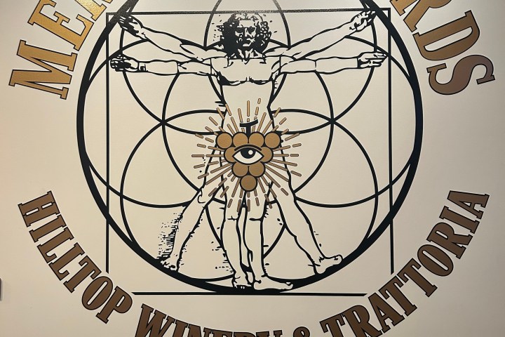 Logo of Merkin Vineyards with Vitruvian Man and 'Hilltop Winery & Trattoria' text on wall.