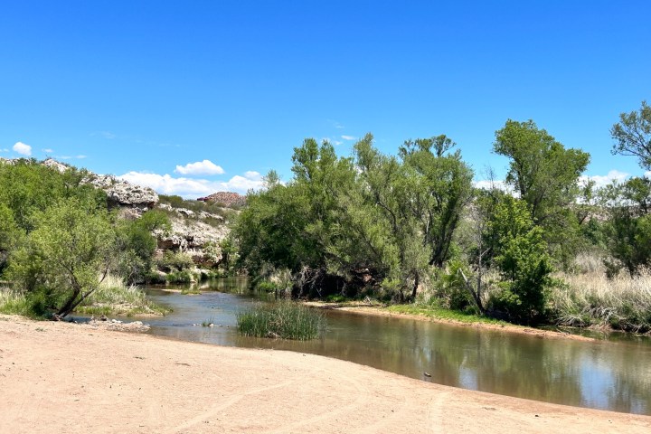 A riverbank with trees under a clear blue sky.