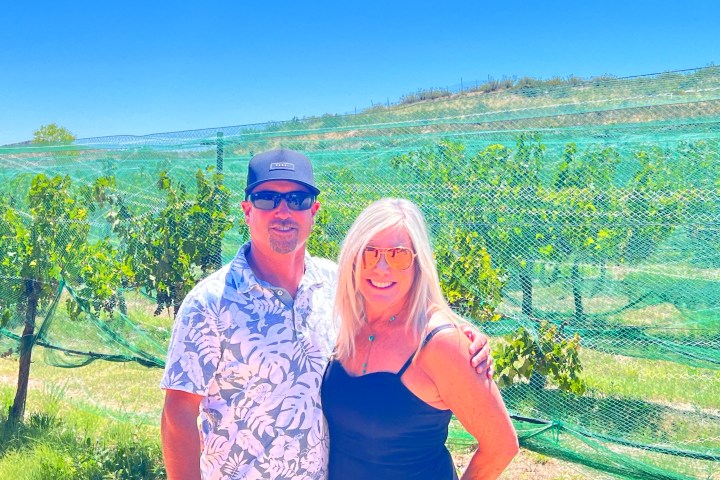 Man and woman smiling in vineyard with netting on sunny day.