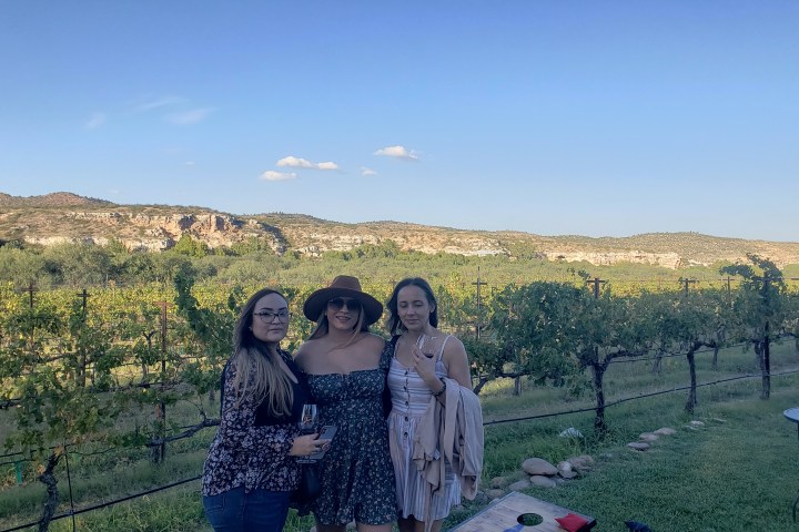 Three women standing in a vineyard with hills in the background under a clear blue sky.