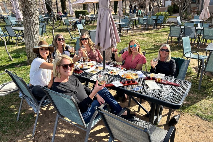 Six women at an outdoor table toasting with drinks, enjoying a sunny day.