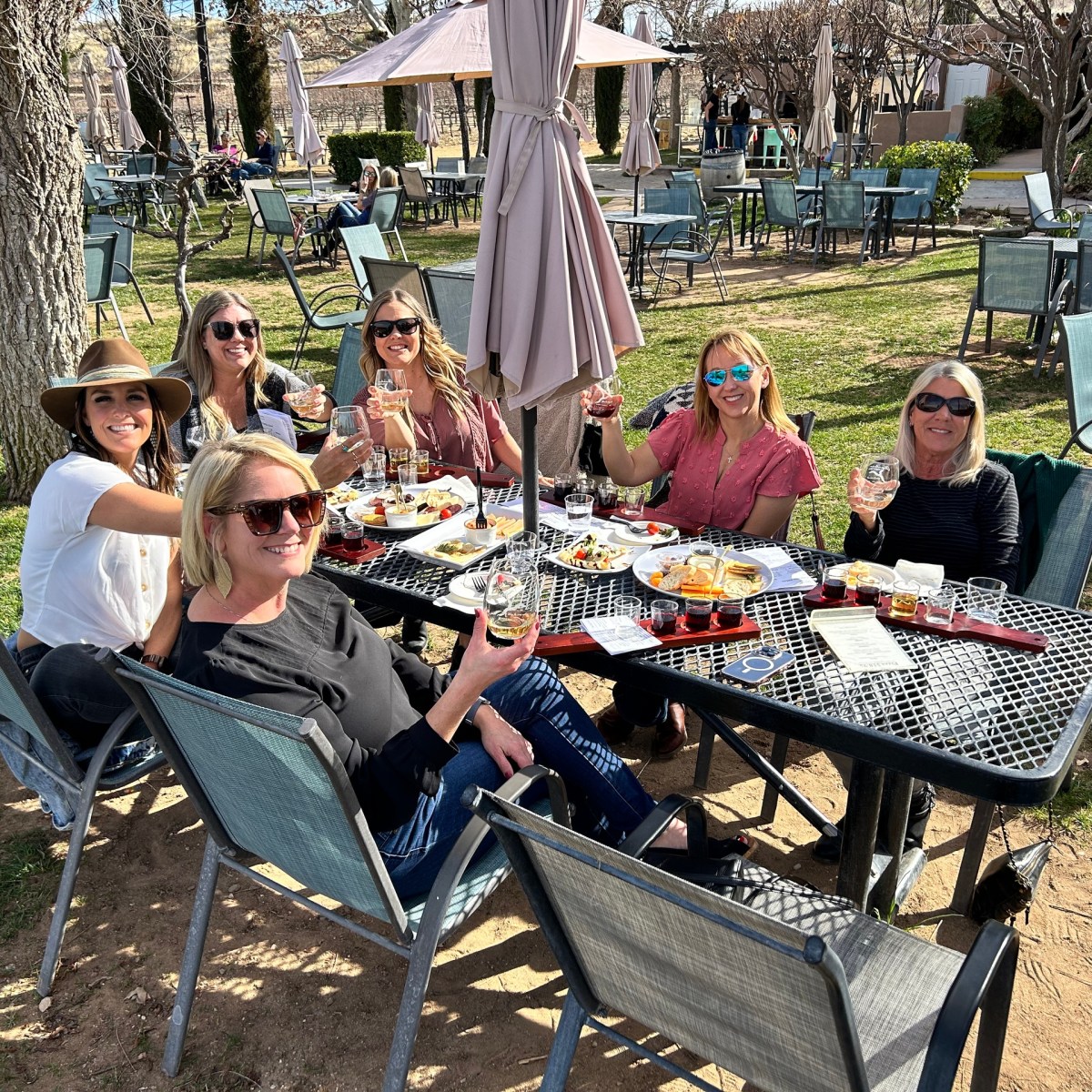 Six women at an outdoor table toasting with drinks, enjoying a sunny day.