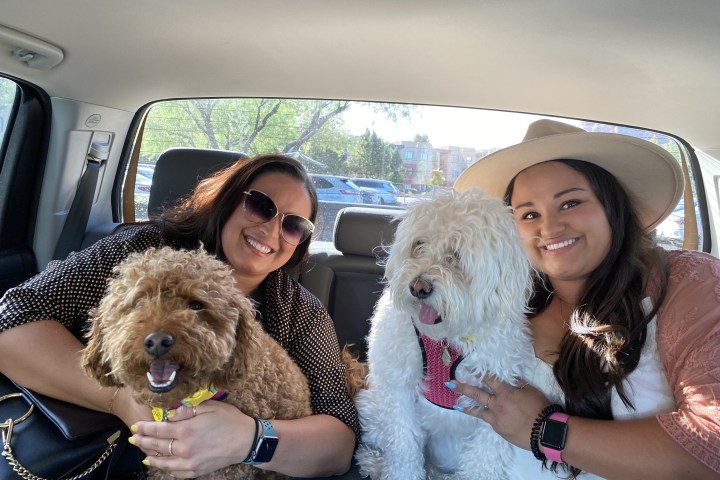 Two smiling women with sunglasses and hats holding fluffy dogs in a car backseat.