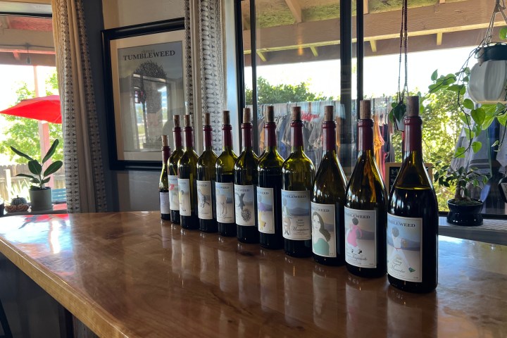 Twelve wine bottles on a wooden countertop with framed art and plants in the background.
