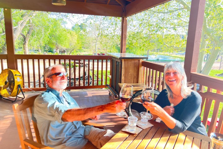 Two people clinking wine glasses on a wooden deck with green foliage.