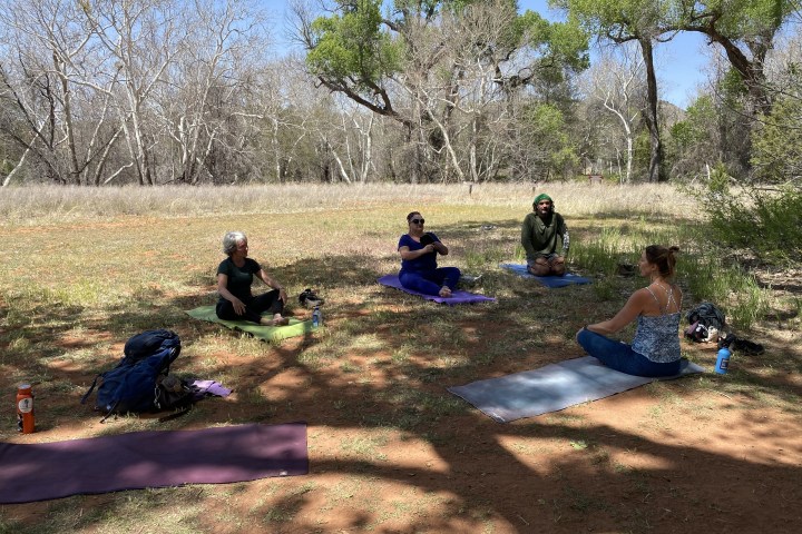 Four people seated on yoga mats in a forest clearing, practicing meditation.
