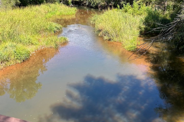 A serene river with grassy banks and lush trees under a blue sky with clouds.