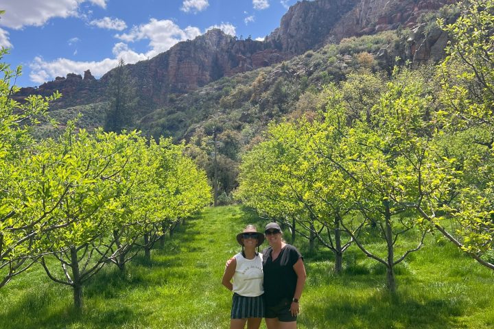 Two people in a sunny orchard with mountains and blue sky in the background.