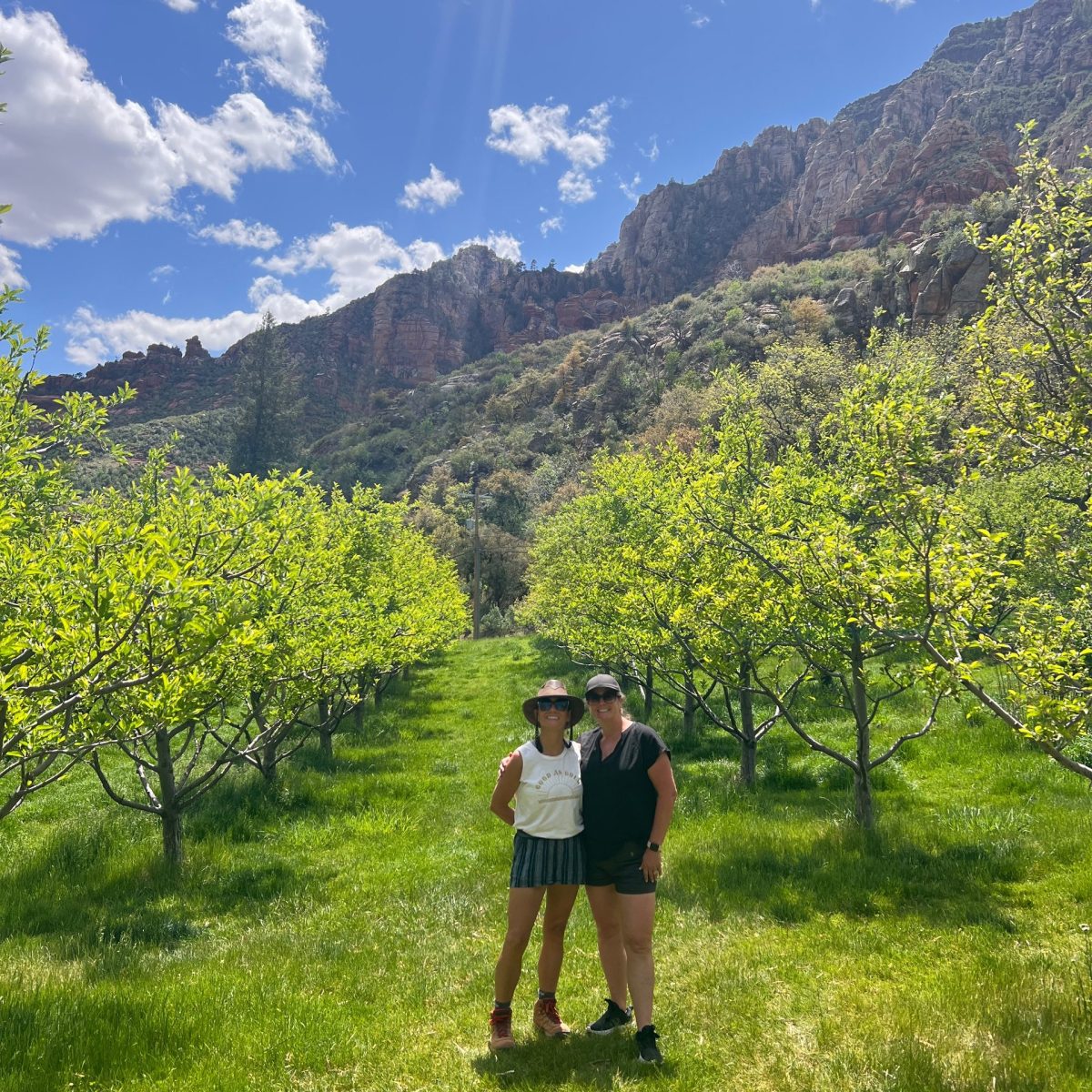 Two people in a sunny orchard with mountains and blue sky in the background.
