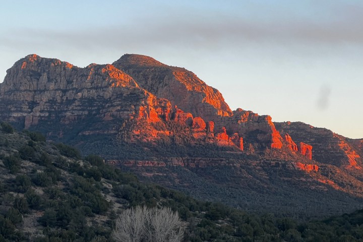Red rocks and mountains at sunset with shadowed greenery in foreground.