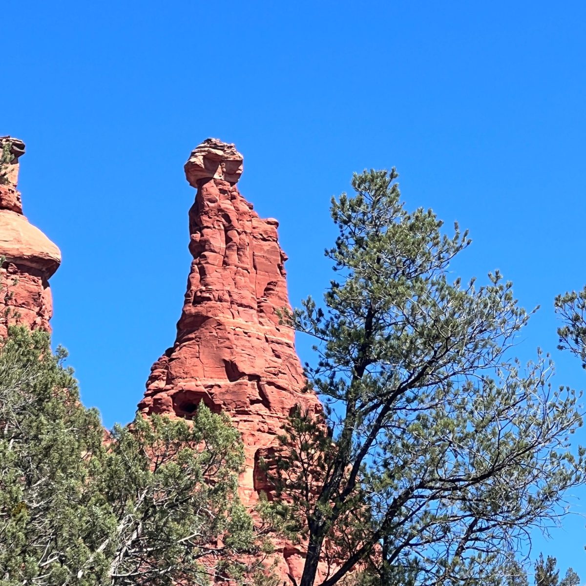 Tall red rock pillar with trees in the foreground under a clear blue sky.