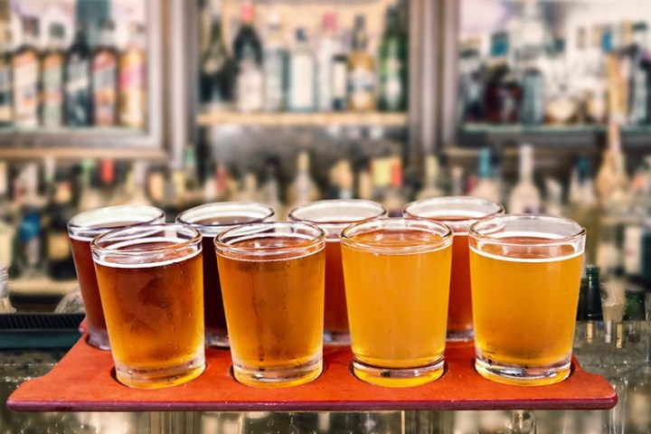 A row of eight beer glasses on a bar counter in a dimly lit setting.