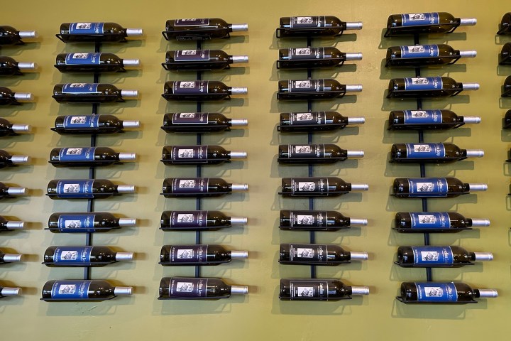 Wall-mounted wine bottles in a neat grid pattern on a light green wall.