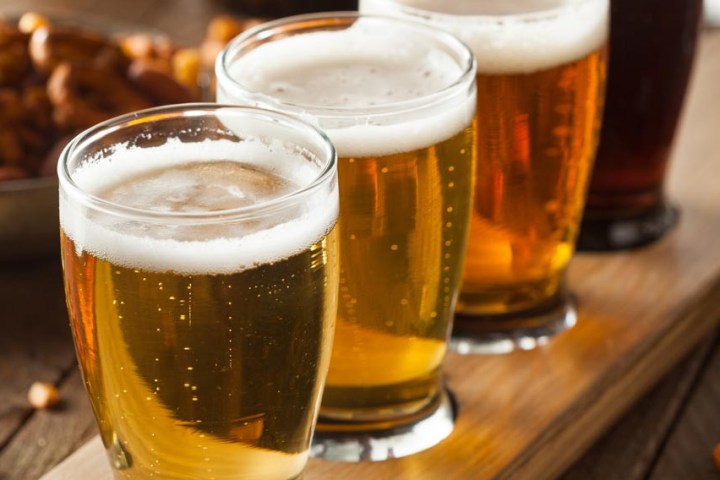 Row of beer glasses on a wooden tray with pretzels in background.