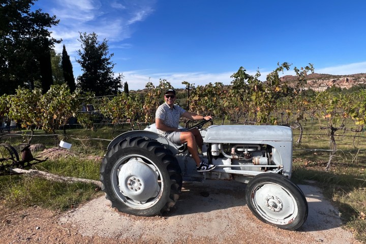 Person sitting on a vintage tractor in a vineyard under a clear blue sky.