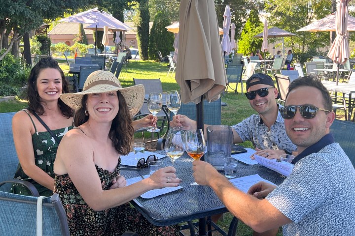 Four people clinking glasses at an outdoor table with a green, sunny backdrop.