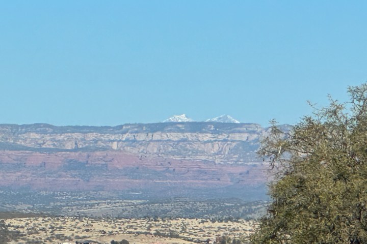 Distant snow-capped mountains under a clear blue sky, with desert landscape and sparse trees in the foreground.