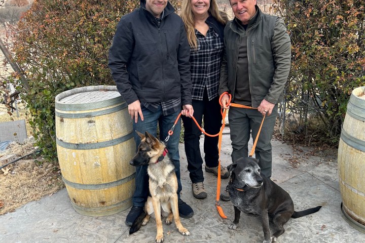 Three people with two dogs on leashes in front of an archway with vines.