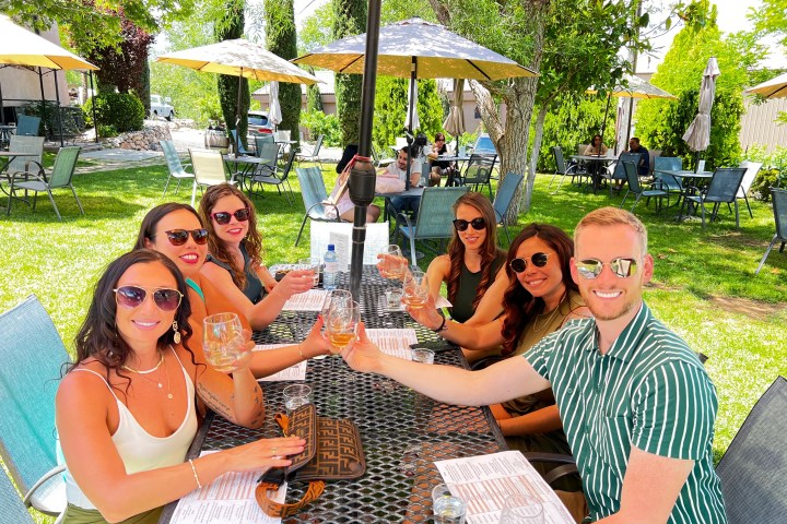 Group of people at outdoor table toasting with drinks under umbrellas on a sunny day.