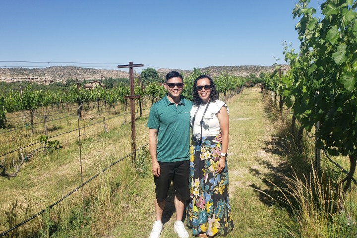 Two people standing together in a vineyard on a sunny day.