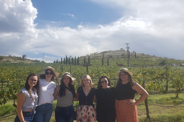 Six people pose in front of vineyard under a cloudy sky.