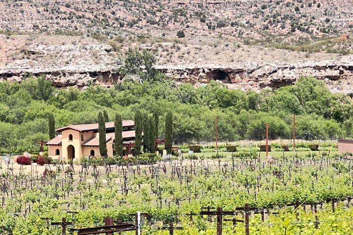 Small villa surrounded by vineyards and trees, with rocky hills in the background.
