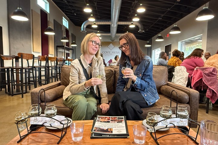 Two people sitting on a couch holding wine glasses in a winery tasting room.