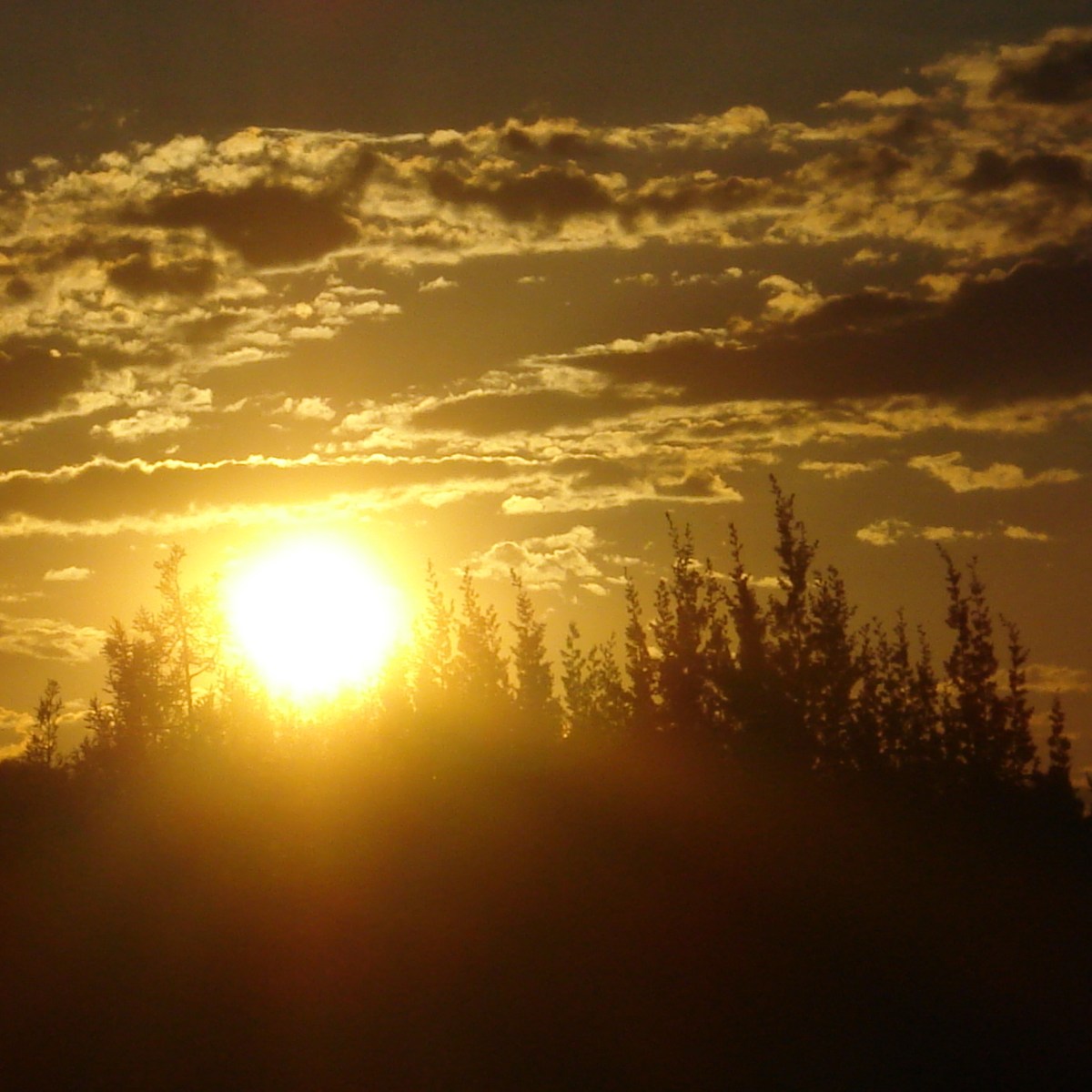 Sun setting behind trees with clouds in an orange sky