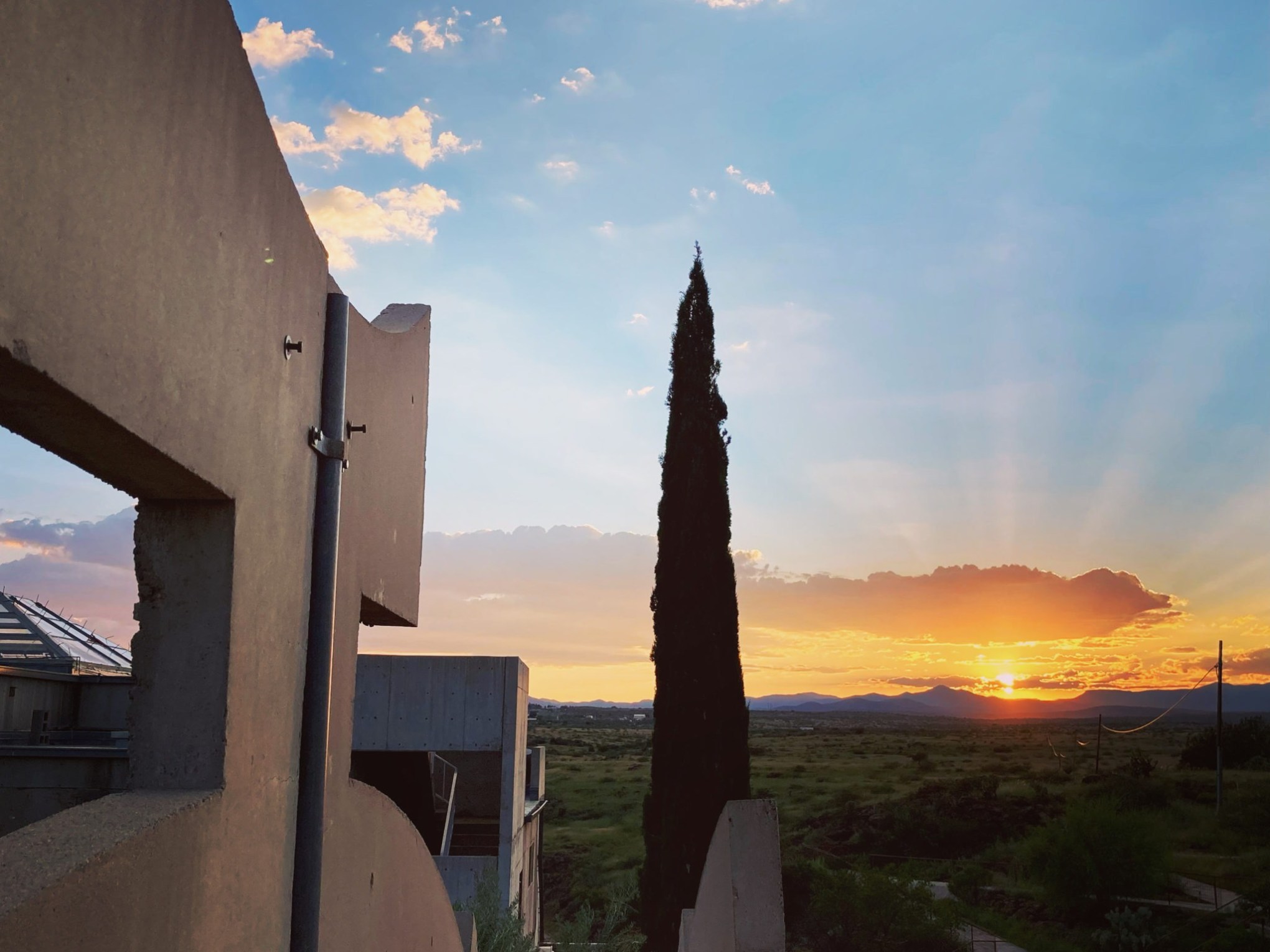 Sunset view with tree silhouette and building structures in foreground.