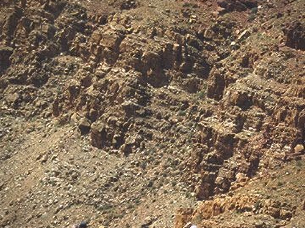 Group of hikers walking along a rocky desert hillside.