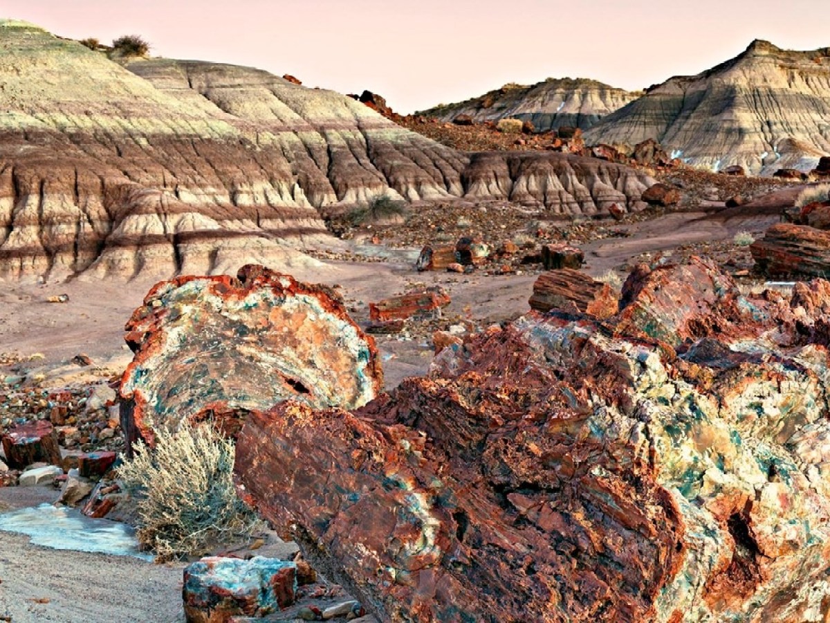 Landscape of rocky terrain with petrified wood and striped hills under a clear sky.