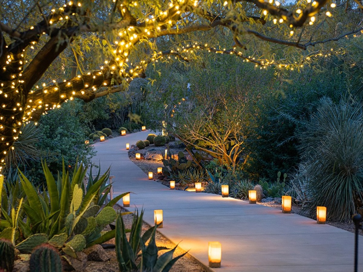Pathway lined with lanterns and a tree decorated with string lights in a garden setting.
