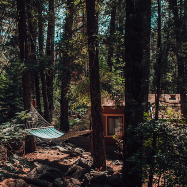 Wooden cabin surrounded by trees with a hammock in the forest.