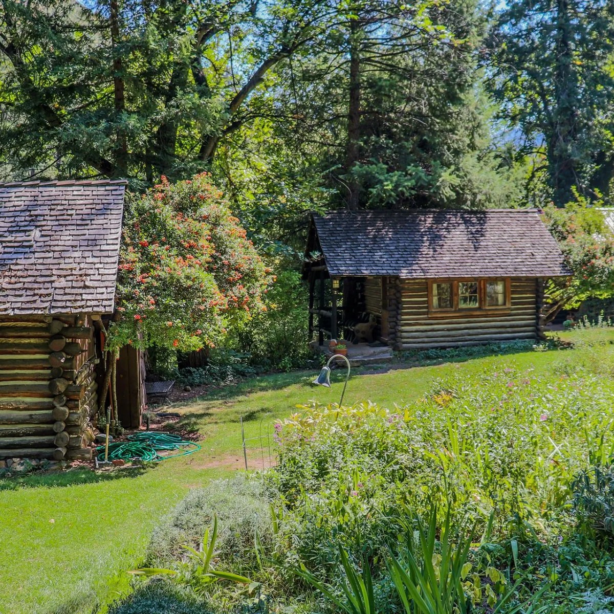 Three rustic log cabins surrounded by lush greenery and trees in a forest setting.